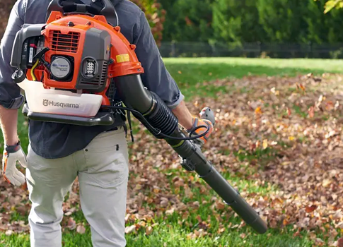 Leaf & Grass Cleanup